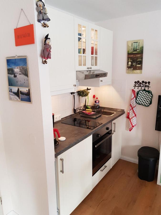 Apartment Kleiner Heinrich Braunlage Kültér fotó